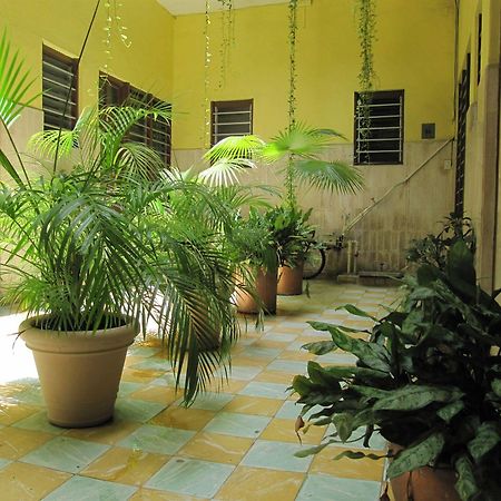 Hotel Amparo ベラクルス エクステリア 写真